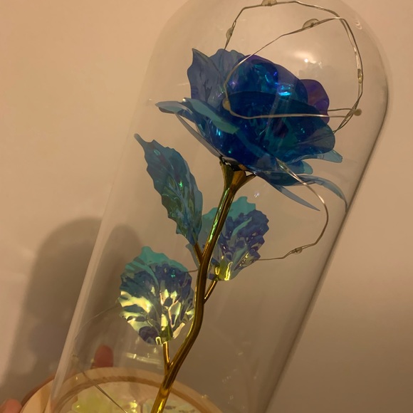 Rose - Picture 7 of 10